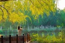 麻豆传媒全集资源-揭秘麻豆传媒全集资源——误解与现实的边界