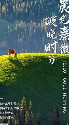 欧美成人视频-欧美成人视频，文化、艺术与个人选择的交汇点