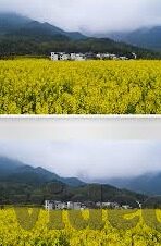 影音先锋中文字幕资源-影音先锋，解锁中文字幕资源的无限可能